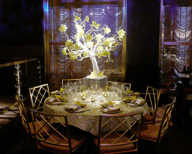 NY Botanical Garden 2008