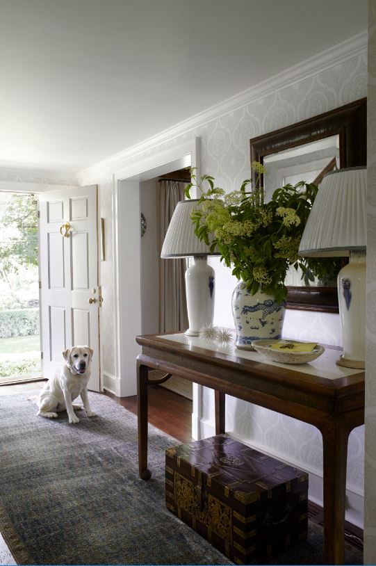 Entry w/ Dog no text 